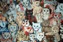 A covey of cats
Picture # 125
