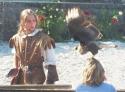 Falconry Show
Picture # 313
