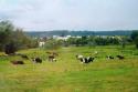 French Countryside 1
Picture # 304
