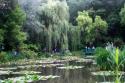 Bridge in Monets Garden
Picture # 310