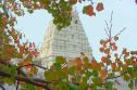 Hindu Temple of St. Louis
Picture # 68
