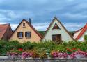 Houses and Flowers
Picture # 365
