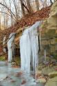 Icicles 1
Picture # 142
