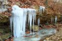 Icicles
Picture # 1742
