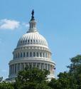 Capitol Dome
Picture # 1931
