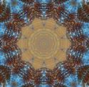 Kaleidoscope
Picture # 1934
