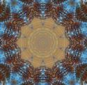 Kaleidoscope
Picture # 1934
