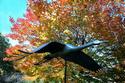 Crane Statue at Int Crane Foundation
Picture # 2322