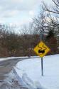 Warning Sign Lost a Screw
Picture # 2464
