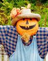 Farmer Pumpkinhead
Picture # 2806