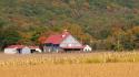 Farm in the Fall
Picture # 4084
