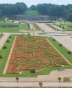 Chateau Vaux-le-Vicomte Formal Garden 1
Picture # 419
