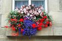 Window Box 1
Picture # 362
