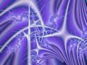 Fractal purple lines
Picture # 2439
