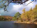 Autumn on the Lake
Picture # 1462
