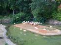 Flamingo Island
Picture # 2552
