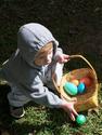 Nathan`s Easter Egg Hunt
Picture # 2550