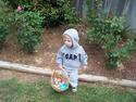 Easter Egg Hunt
Picture # 2549