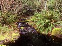 Another creek
Picture # 2507