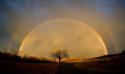 Evening Rainbow
Picture # 3966
