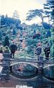 Water Gardens
Picture # 1622

