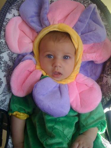Daily photo - Flower Baby