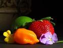 Still Life:Fruit and Flowers
Picture # 1337
