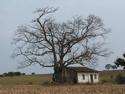 Abandoned Farm
Picture # 2288
