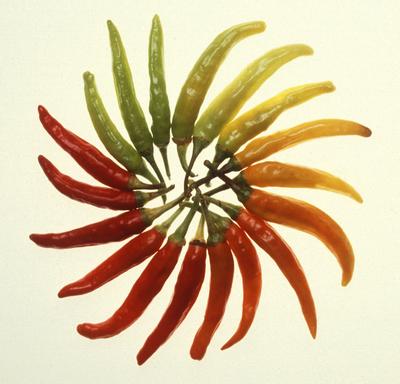 Daily photo - Charleston Hot Peppers