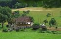 German Countryside 5
Picture # 347
