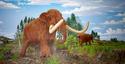 Mastodon
Picture # 2134
